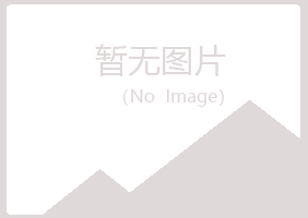 龙岩忆伤冶炼有限公司